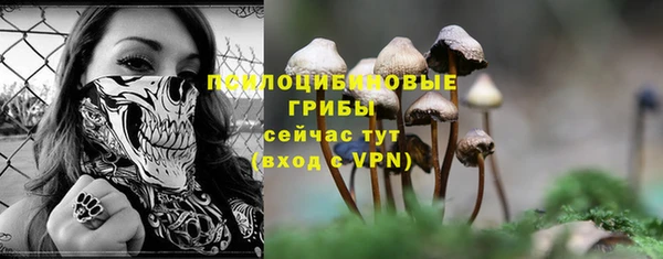 спайс Алзамай