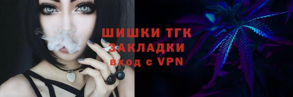 спайс Алзамай