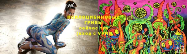 спайс Алзамай